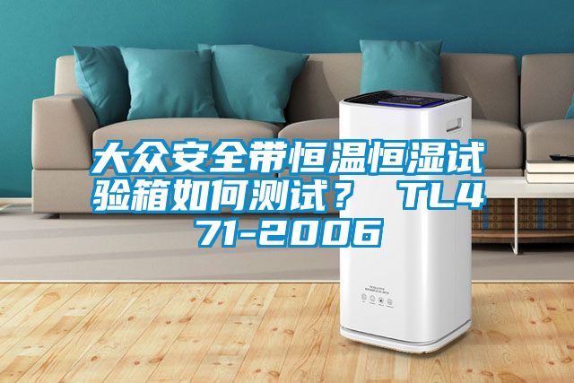 大眾安全帶恒溫恒濕試驗箱如何測試？ TL471-2006