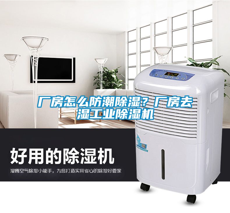 廠房怎么防潮除濕？廠房去濕工業除濕機