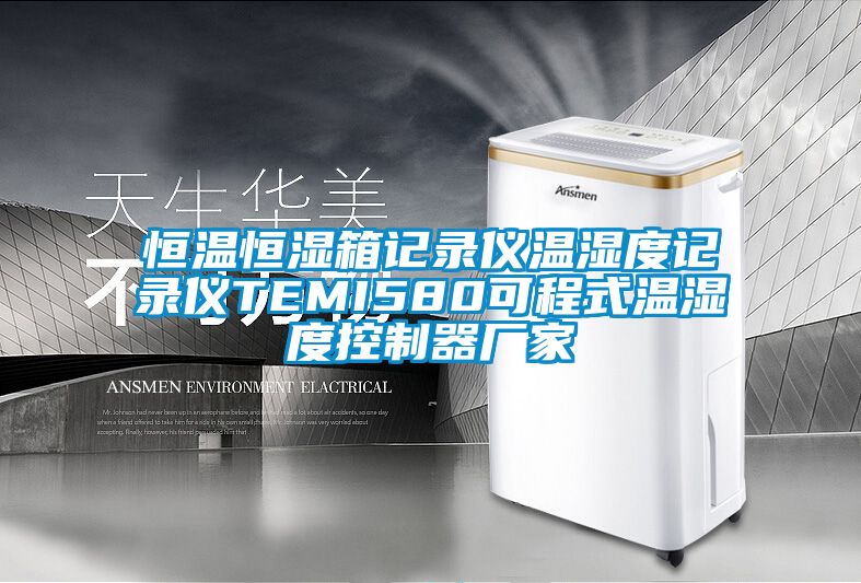 恒溫恒濕箱記錄儀溫濕度記錄儀TEMI580可程式溫濕度控制器廠家