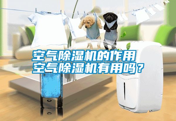 空氣除濕機的作用 空氣除濕機有用嗎？