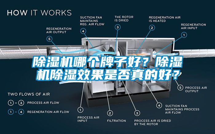 除濕機哪個牌子好？除濕機除濕效果是否真的好？