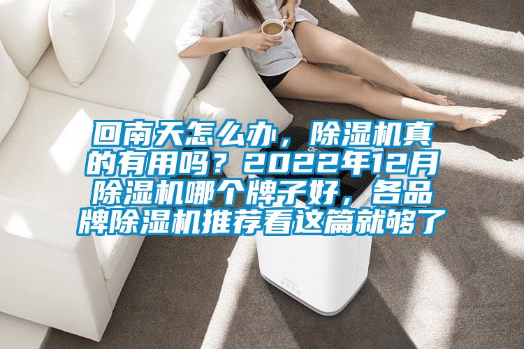 回南天怎么辦，除濕機真的有用嗎？2022年12月除濕機哪個牌子好，各品牌除濕機推薦看這篇就夠了