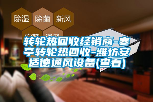 轉輪熱回收經銷商-寒亭轉輪熱回收-濰坊安適德通風設備(查看)