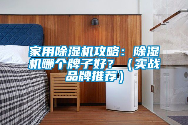 家用除濕機攻略：除濕機哪個牌子好？（實戰品牌推薦）