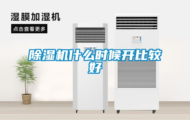 除濕機什么時候開比較好