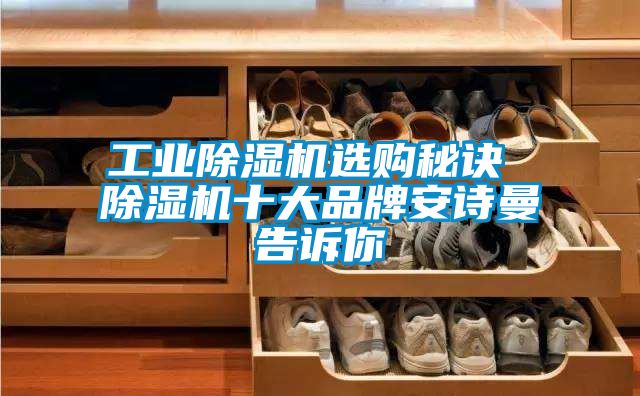 工業除濕機選購秘訣 除濕機十大品牌安詩曼告訴你