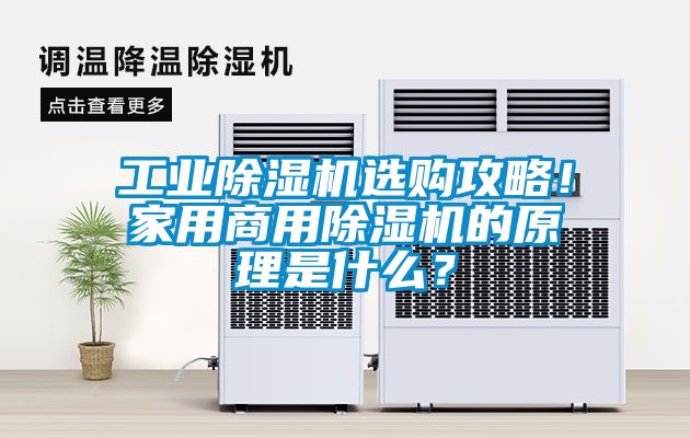 工業除濕機選購攻略！家用商用除濕機的原理是什么？