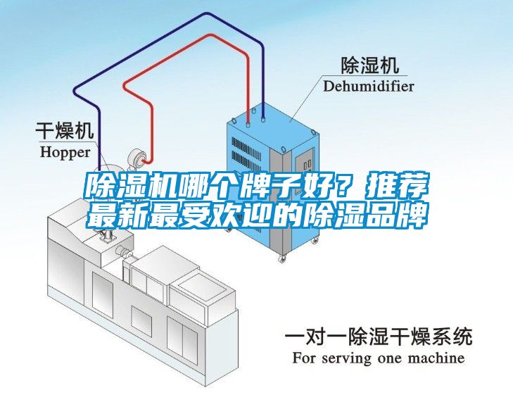 除濕機哪個牌子好？推薦最新最受歡迎的除濕品牌