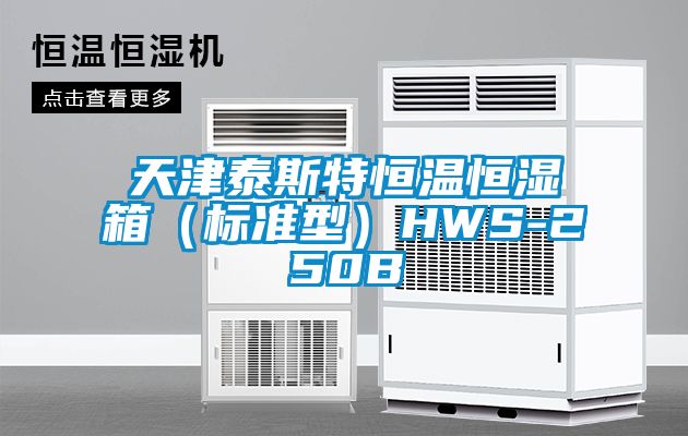 天津泰斯特恒溫恒濕箱（標準型）HWS-250B