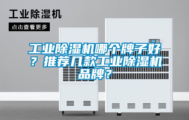 工業除濕機哪個牌子好？推薦幾款工業除濕機品牌？