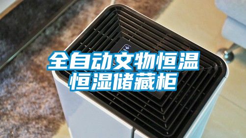 全自動文物恒溫恒濕儲藏柜