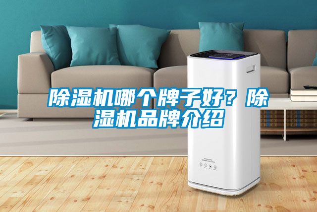 除濕機哪個牌子好？除濕機品牌介紹