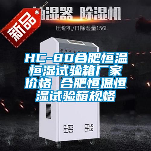 HC-80合肥恒溫恒濕試驗箱廠家價格 合肥恒溫恒濕試驗箱規格