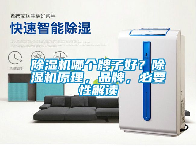 除濕機哪個牌子好？除濕機原理，品牌，必要性解讀