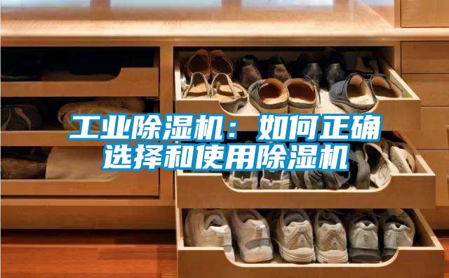 工業除濕機：如何正確選擇和使用除濕機