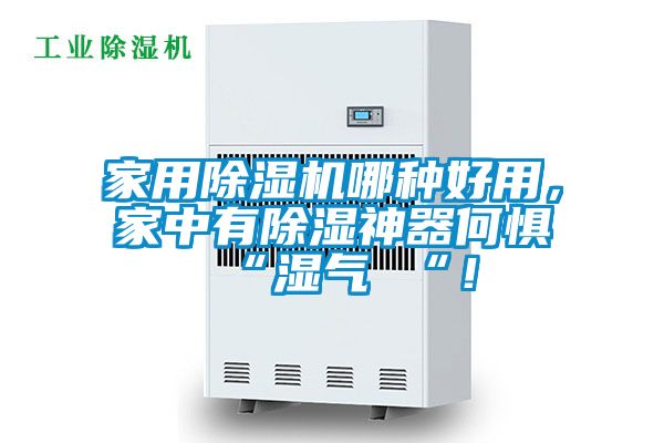 家用除濕機哪種好用，家中有除濕神器何懼 “濕氣 “！