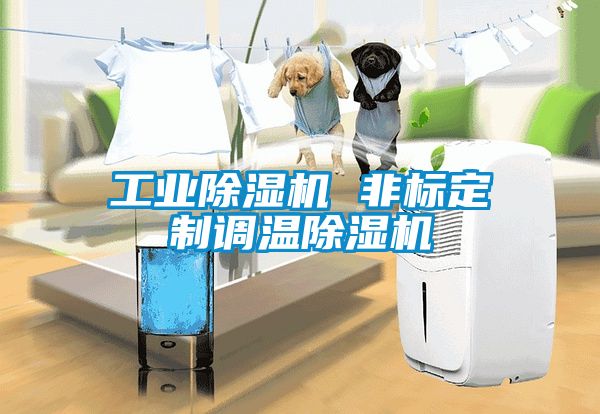 工業除濕機 非標定制調溫除濕機