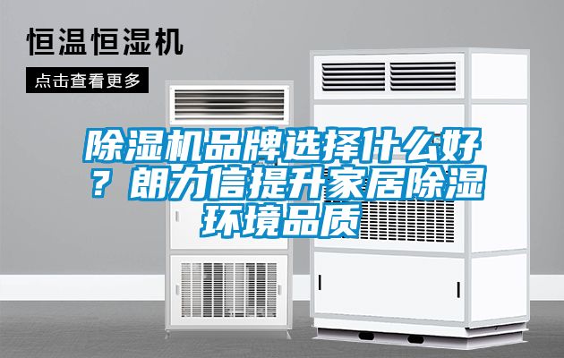 除濕機品牌選擇什么好？朗力信提升家居除濕環境品質