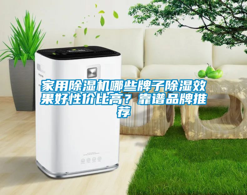 家用除濕機哪些牌子除濕效果好性價比高？靠譜品牌推薦