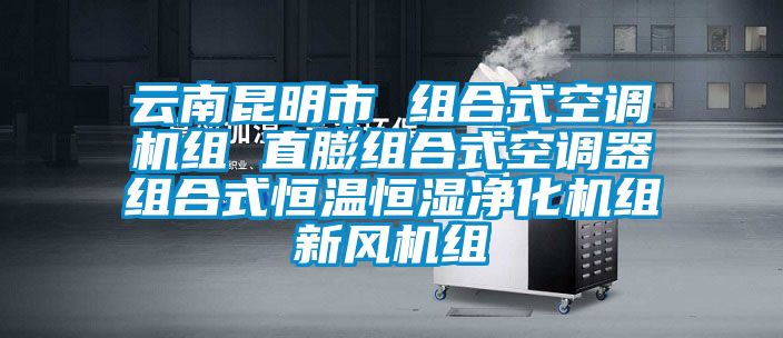 云南昆明市 組合式空調機組 直膨組合式空調器組合式恒溫恒濕凈化機組新風機組