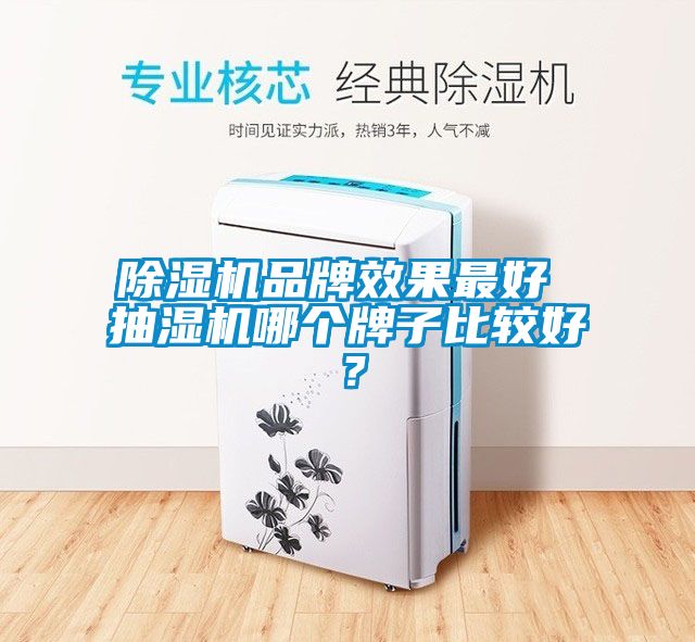 除濕機品牌效果最好 抽濕機哪個牌子比較好？