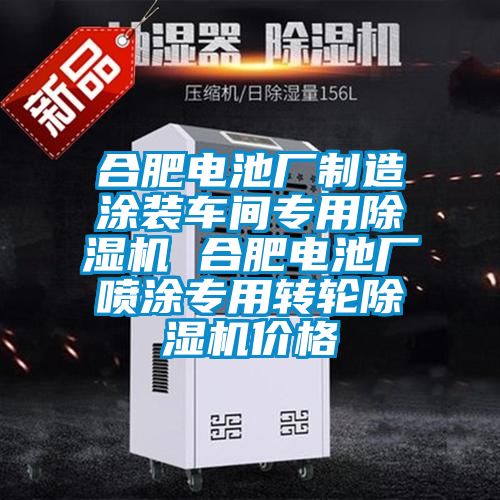 合肥電池廠制造涂裝車間專用除濕機 合肥電池廠噴涂專用轉輪除濕機價格