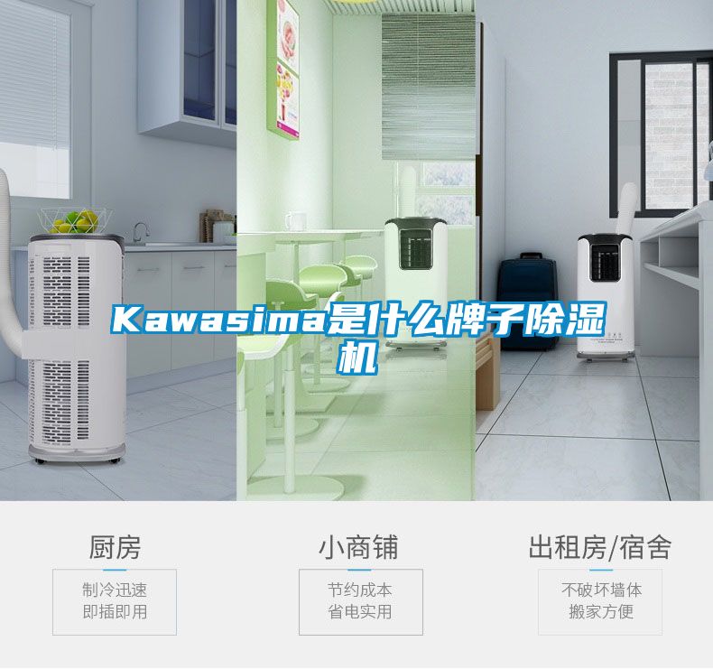 Kawasima是什么牌子除濕機