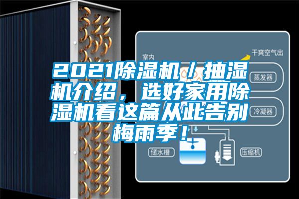 2021除濕機／抽濕機介紹，選好家用除濕機看這篇從此告別梅雨季！